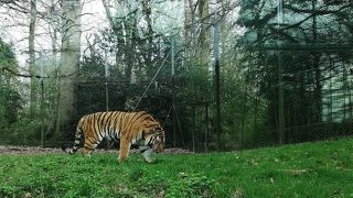 サファリパーク