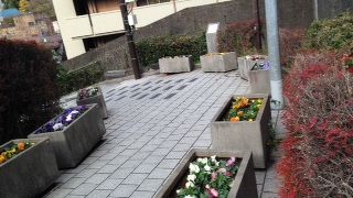 クランク型の坂道