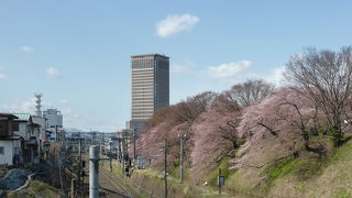 展望ロビーと飲食店を利用しました