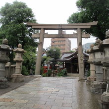 この参道が素晴らしいです