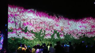 平日で５０分待ちでした