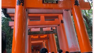神秘的な千本鳥居を見てみたくて♪