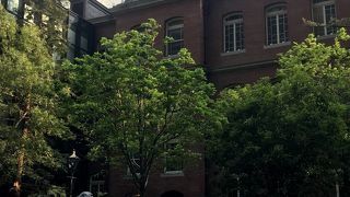 緑があって落ち着く空間