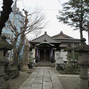 臨済宗妙心寺派のお寺