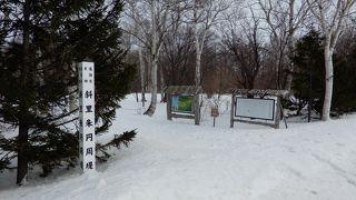 冬は見えませんでした