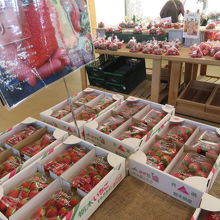 苺が多く売られています