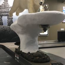 荷物レーンの所にシロクマがいます