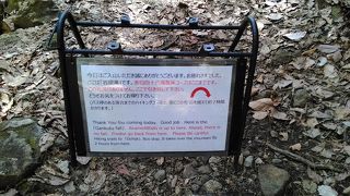 整備された渓谷ウオーキングを楽しむ