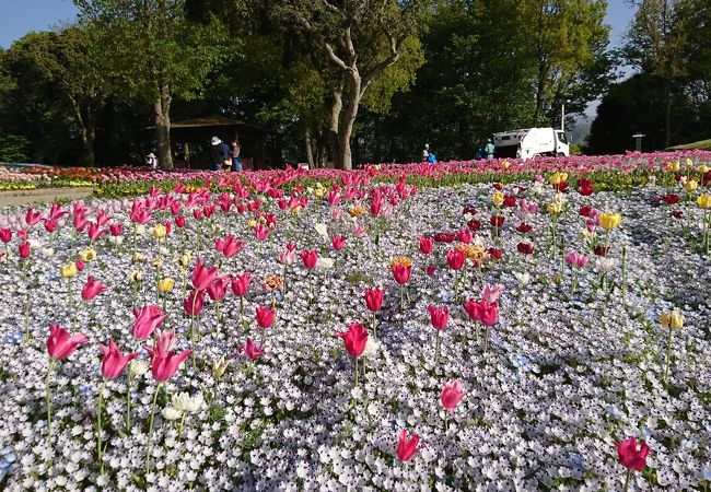 国営讃岐まんのう公園 クチコミ アクセス 営業時間 まんのう フォートラベル