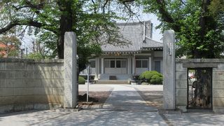 桜の大木がありました