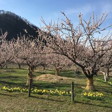 小径もあります