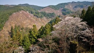 吉野山一望出来る神社
