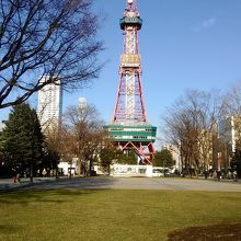 木々も多く植えられています