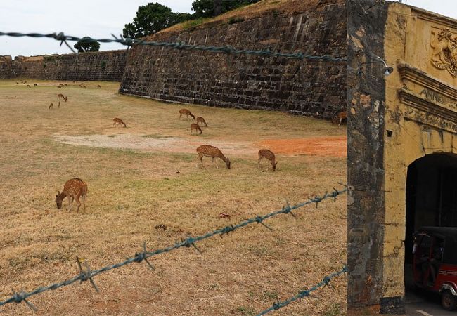 Fort Frederickから海を一望