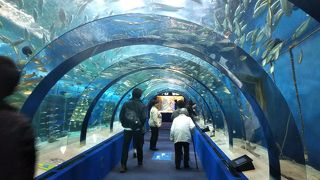 意外と広くって楽しめました