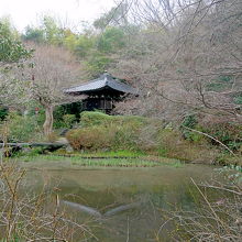 池からの多宝塔