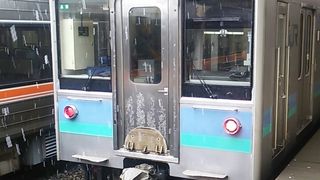 時間帯にもよりますが、松本～長野間ではＥ１２７系によるワンマン運転が実施されています