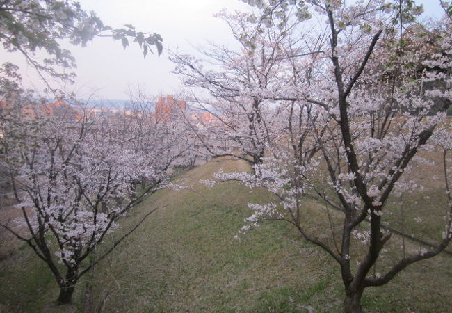 住宅地のど真ん中ですが、独特の風情があります