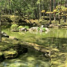 写経が終わった人から、苔の庭の見学が出来ます。