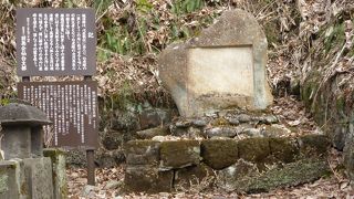 ただひとり生き残った人物