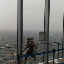 曇ってたのでイマイチ