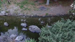 すごく広いです。