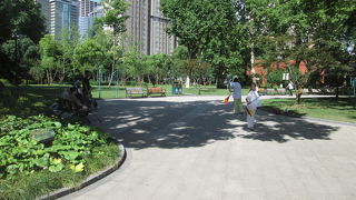 太極拳や体操を行っていました