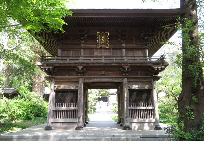 大変立派な山門を有すお寺