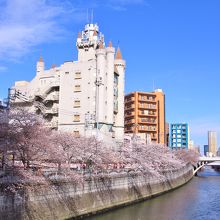 太鼓橋から目黒川上流の眺め