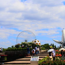 万博記念公園内癒しのスポット！