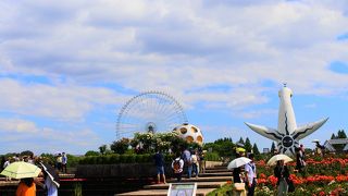 「平和のバラ園」でバラを鑑賞！