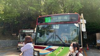 すず虫寺・苔寺行きのバスは、63、73系統のバスです。