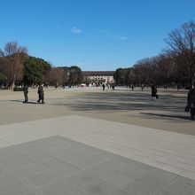 上野恩賜公園（噴水側）