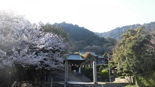 普通じゃ読めない名前だと思う