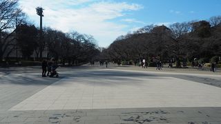 記念碑や銅像が多く、じっくり見ながら散策するのもいい