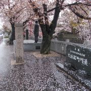 大垣の町の南を南北に流れる水門川にあります。