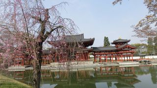 宇治と言えばここでしょ