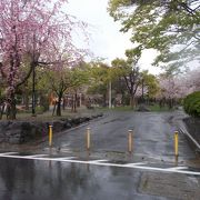 大垣城がある公園です。