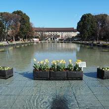 噴水が上がっていない時