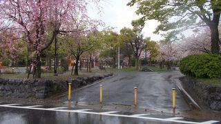 大垣城がある公園です。