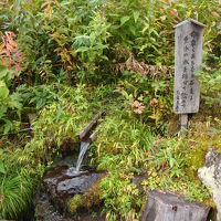 小屋前の湧き水。