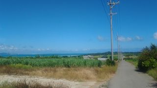 サトウキビ畑の間の道