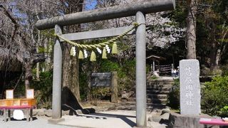 サクラの似合う神社