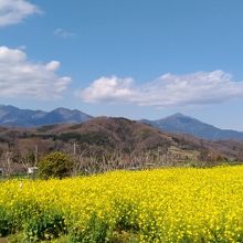 すぐ近くから見えた大山丹沢の眺望