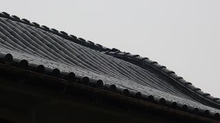 母屋の屋根の曲線が美しい ♪