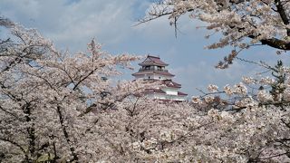 桜の時期は文句なし、あっぱれ！