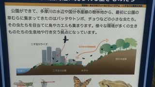 スターバックスがぽつんとあります。