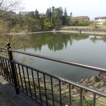 東西にある荒池の西側の池
