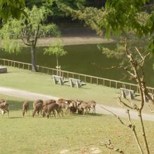 東西にある荒池の東側の池
