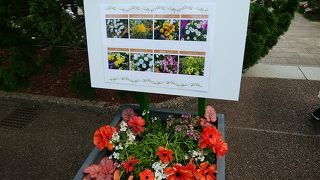 薔薇の時期に…